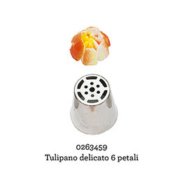 BECCUCCIO TULIPANO DELICATO *246