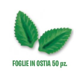FOGLIE DI CIALDA VERDI - 50 Pz.