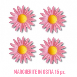MARGHERITE DI CIALDA ROSA - 15 Pz.