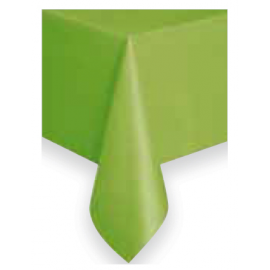TOVAGLIA VERDE MELA "TNT" (Tessuto non tessuto) 160x240cm 50g