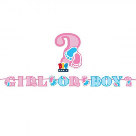 FESTONE MIT SCRITTA MAXI GIRL OR BOY? 3 mt.