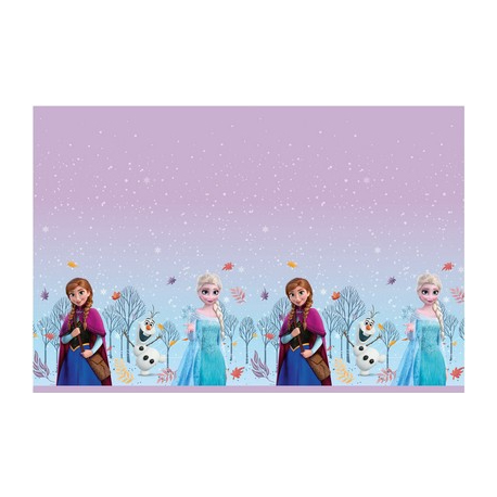 TOVAGLIA PLASTICA FROZEN CM.120X180